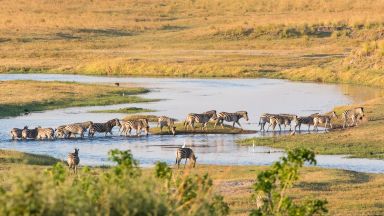 Victoria Falls & NP Chobe & delta Okavanga (predĺženie)